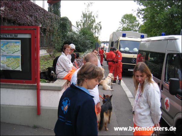 hund006